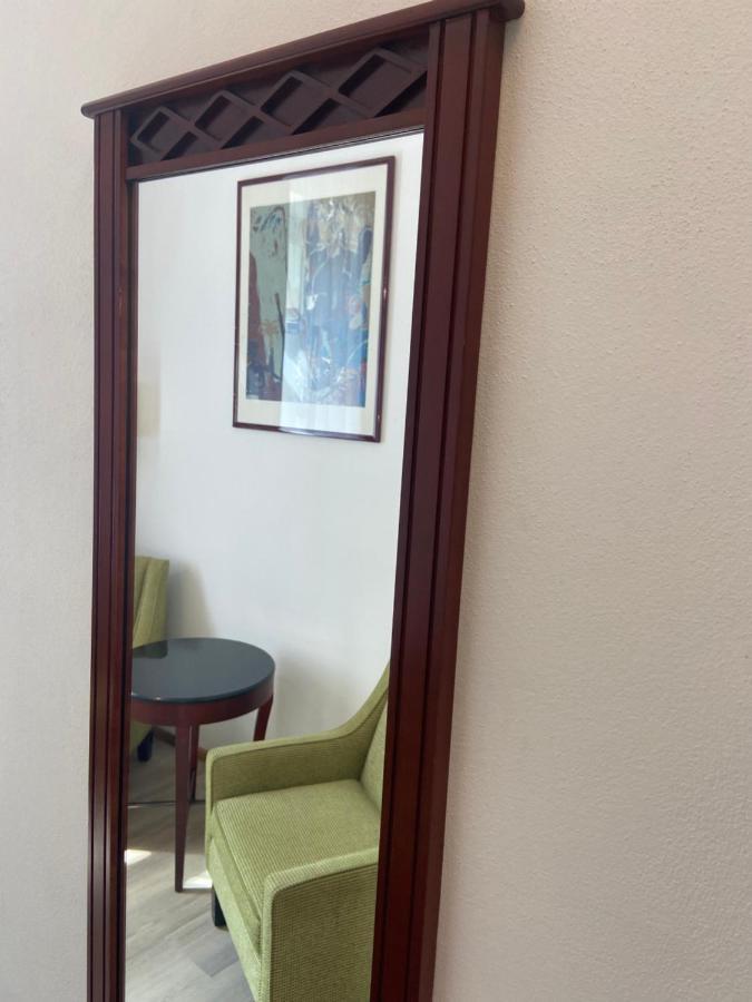 Aparthotel Slezak 利托米什尔 外观 照片